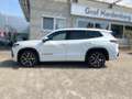 Volkswagen Tayron 2.0 TDI DSG 4M *R-LINE* AHK*PANO*IQ*H/K* Weiß - thumbnail 2