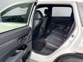 Honda CR-V 2.0 i-MMD HYBRID 4WD Sport Line + Ahk Weiß - thumbnail 12