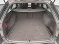 Skoda Octavia iV Combi Style 1.4TSI *NAVI*MATRIX*SHZ*1 Grau - thumbnail 12