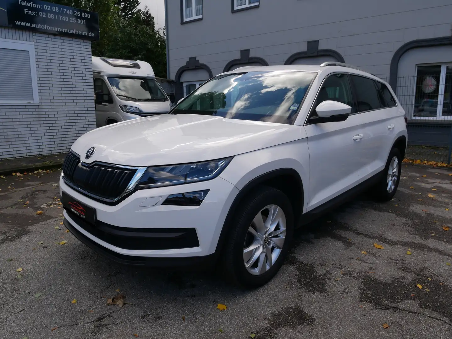 Skoda Kodiaq Style DSG LED DAB KeyGo Spur Kam Leder/AlcantaNavi Weiß - 1
