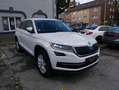 Skoda Kodiaq Style DSG LED DAB KeyGo Spur Kam Leder/AlcantaNavi Weiß - thumbnail 7