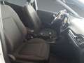 Ford Puma 1.0 EcoBoost ST-Line Design, Winter-P., PDC h., Blanc - thumbnail 15