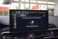 Audi A5 Sportback 40 TFSI S edition Competition Grün - thumbnail 15