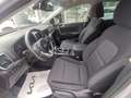 Kia Sportage Sportage 1.6 CRDI 136 CV DCT7 2WD Mild Hybrid Sty Argent - thumbnail 10