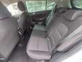 Kia Sportage Sportage 1.6 CRDI 136 CV DCT7 2WD Mild Hybrid Sty Argent - thumbnail 17