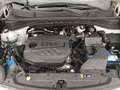 Kia Sportage Sportage 1.6 CRDI 136 CV DCT7 2WD Mild Hybrid Sty Argent - thumbnail 21