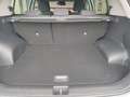 Kia Sportage Sportage 1.6 CRDI 136 CV DCT7 2WD Mild Hybrid Sty Argent - thumbnail 13