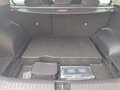 Kia Sportage Sportage 1.6 CRDI 136 CV DCT7 2WD Mild Hybrid Sty Argent - thumbnail 18
