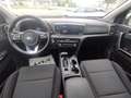 Kia Sportage Sportage 1.6 CRDI 136 CV DCT7 2WD Mild Hybrid Sty Argent - thumbnail 11
