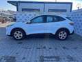Ford Kuga 1.5 EcoBlue 120 CV 2WD Titanium Business Blanc - thumbnail 3