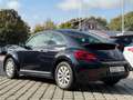 Volkswagen Beetle Lim. / PDC / Noir - thumbnail 5