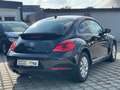 Volkswagen Beetle Lim. / PDC / Noir - thumbnail 7