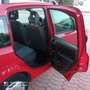 Fiat Panda Panda 1.2 Benzina 69cv E5A Rot - thumbnail 11