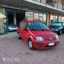 Fiat Panda Panda 1.2 Benzina 69cv E5A Rot - thumbnail 1