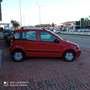 Fiat Panda Panda 1.2 Benzina 69cv E5A Rot - thumbnail 14