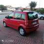 Fiat Panda Panda 1.2 Benzina 69cv E5A Rot - thumbnail 9