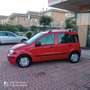 Fiat Panda Panda 1.2 Benzina 69cv E5A Rot - thumbnail 3