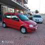 Fiat Panda Panda 1.2 Benzina 69cv E5A Rot - thumbnail 15