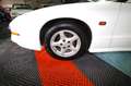 Pontiac Trans Am Firebird 5.7 V8   A Blanc - thumbnail 33