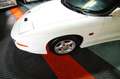 Pontiac Trans Am Firebird 5.7 V8   A White - thumbnail 12