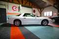 Pontiac Trans Am Firebird 5.7 V8   A Blanc - thumbnail 21