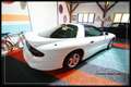 Pontiac Trans Am Firebird 5.7 V8   A Blanc - thumbnail 4