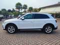 Audi Q5 40 TDI 204 CV quattro S tronic Advanced Plus Bianco - thumbnail 4