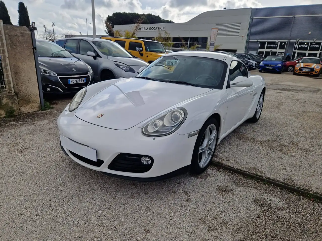 Porsche Cayman
