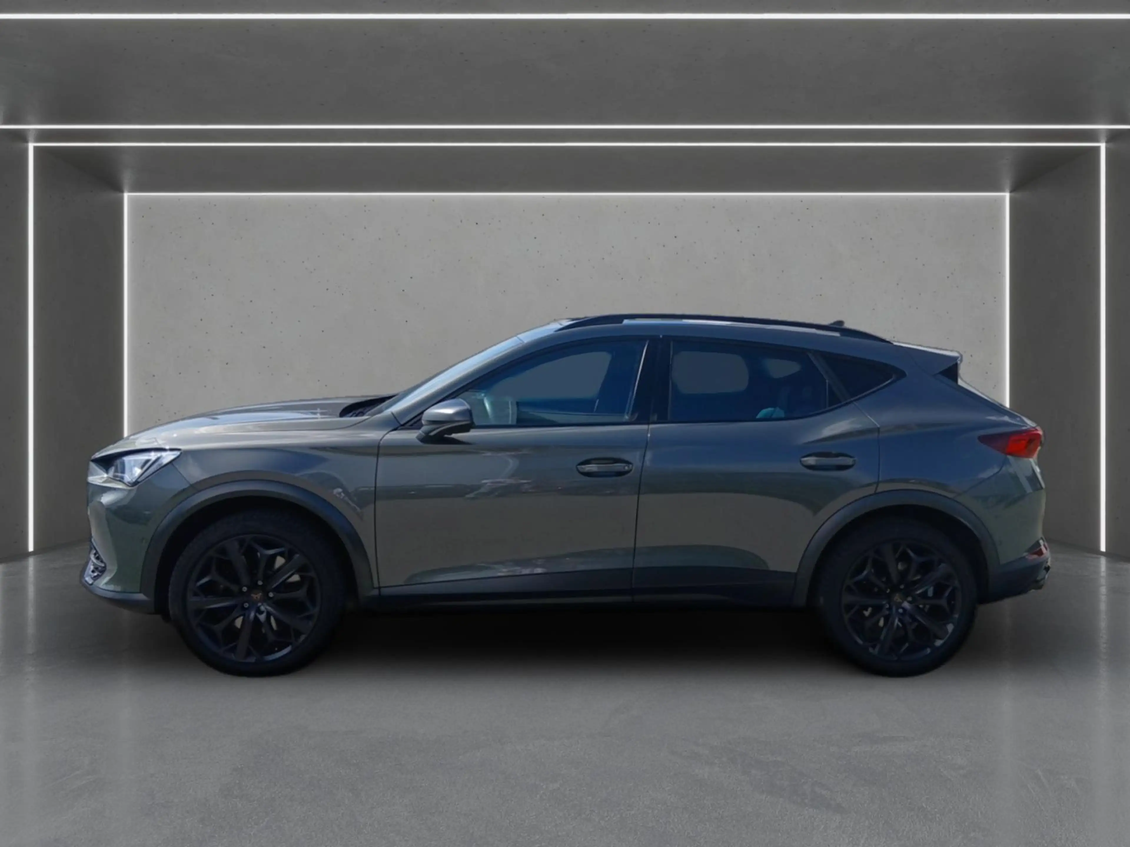 CUPRA Formentor 2.0 TSI 4D VZ Tribe Edition DSG *PANO* — photo 4