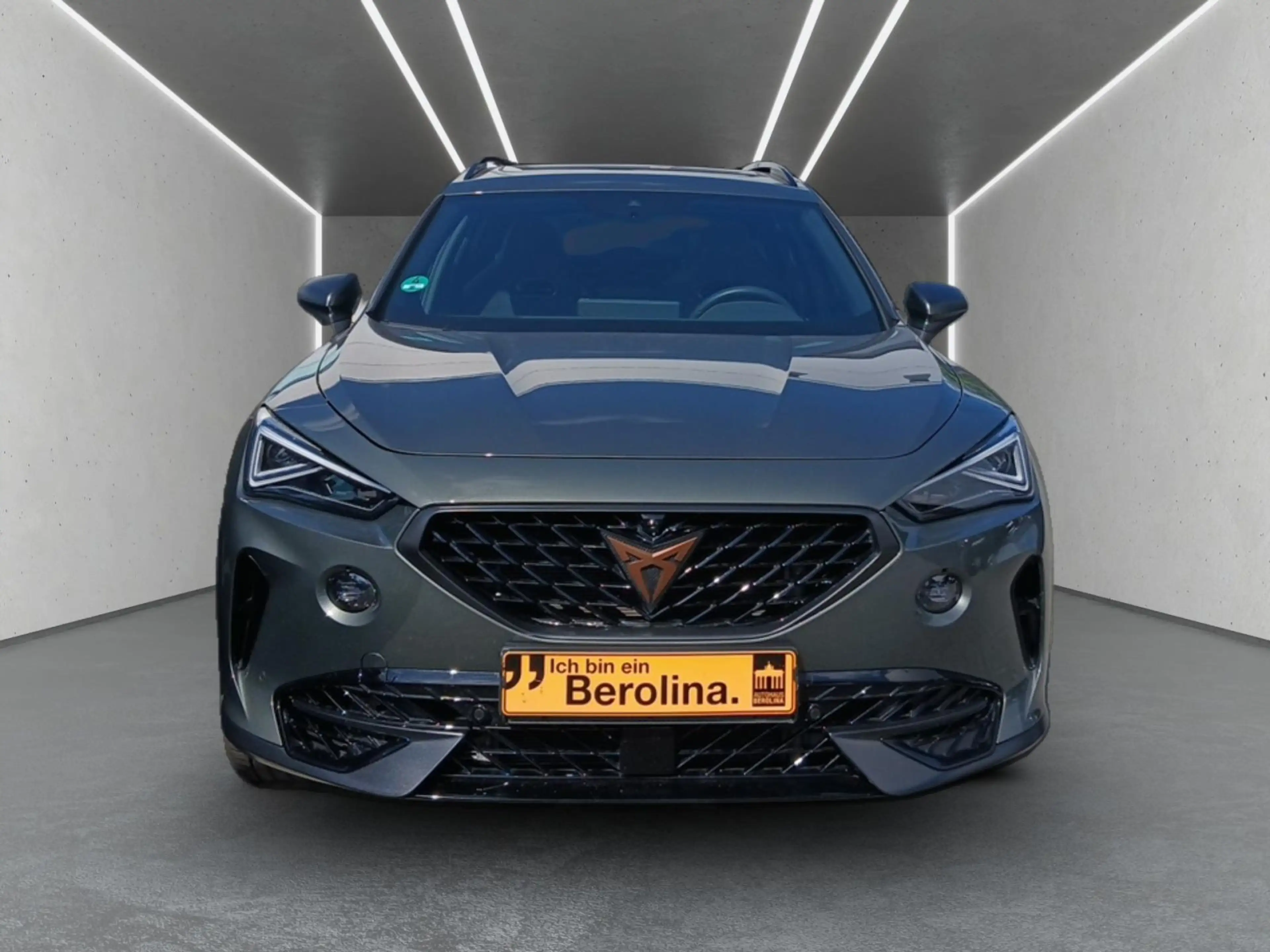 CUPRA Formentor 2.0 TSI 4D VZ Tribe Edition DSG *PANO* — photo 5