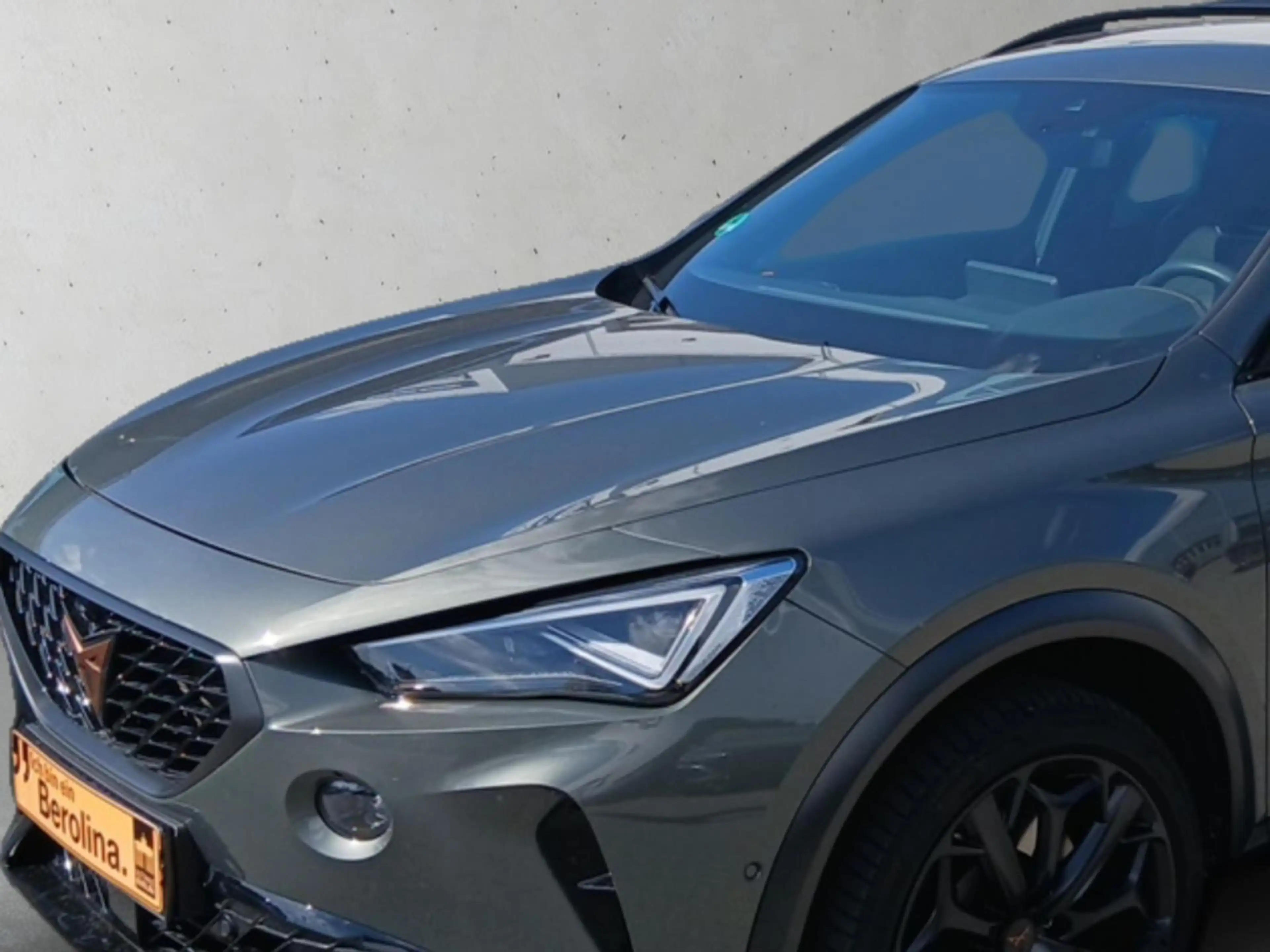 CUPRA Formentor 2.0 TSI 4D VZ Tribe Edition DSG *PANO* — photo 8