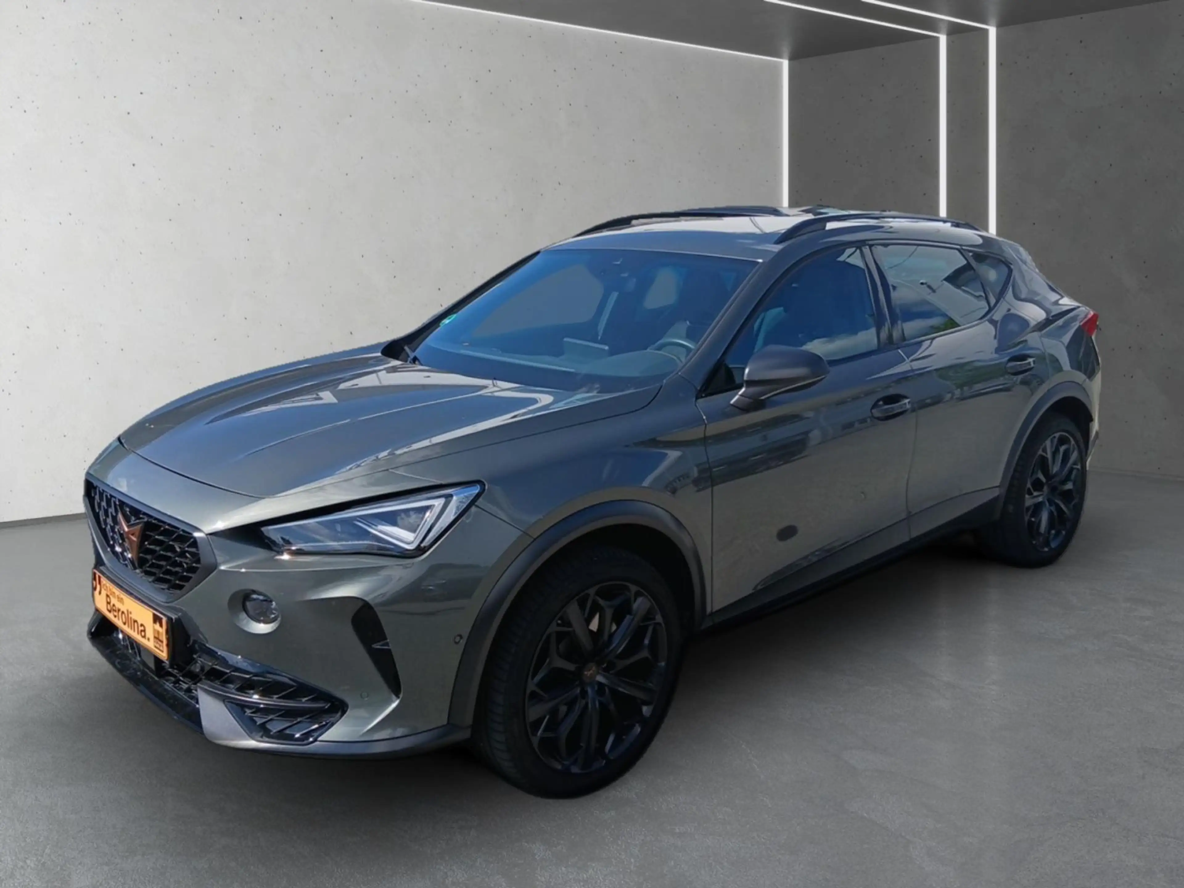CUPRA Formentor 2.0 TSI 4D VZ Tribe Edition DSG *PANO* — photo 2
