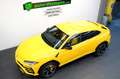 Lamborghini Urus /B&O/NIGHT/ADAS/Q-CITURA/STYLE/STERNENHIMMEL Jaune - thumbnail 10