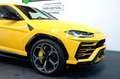 Lamborghini Urus /B&O/NIGHT/ADAS/Q-CITURA/STYLE/STERNENHIMMEL Jaune - thumbnail 4