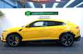 Lamborghini Urus /B&O/NIGHT/ADAS/Q-CITURA/STYLE/STERNENHIMMEL Jaune - thumbnail 9