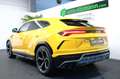 Lamborghini Urus /B&O/NIGHT/ADAS/Q-CITURA/STYLE/STERNENHIMMEL Jaune - thumbnail 6