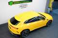 Lamborghini Urus /B&O/NIGHT/ADAS/Q-CITURA/STYLE/STERNENHIMMEL Jaune - thumbnail 5