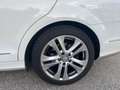 Mercedes-Benz C 200 Est. 200CDI BE Executive Avantg. 7G Plus Avantgarde - thumbnail 15