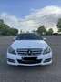 Mercedes-Benz C 200 Est. 200CDI BE Executive Avantg. 7G Plus Avantgarde - thumbnail 2