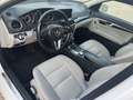 Mercedes-Benz C 200 Est. 200CDI BE Executive Avantg. 7G Plus Avantgarde - thumbnail 9