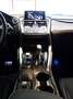 Lexus NX 300h AWD Aut. *HYBRID *F-SPORT *PANO *ACC *ERSTBESITZ Schwarz - thumbnail 41
