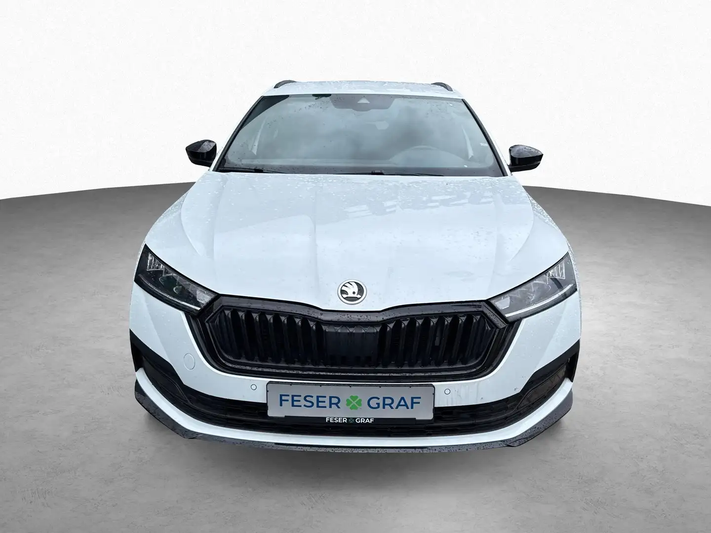Skoda Octavia Combi Sportline 2.0 TSI 7-DSG 4x4 *NAVI*MEMORY Weiß - 2