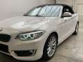 BMW 220 220d Cabrio Aut. Luxury Line Wit - thumbnail 2