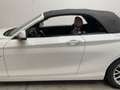 BMW 220 220d Cabrio Aut. Luxury Line Wit - thumbnail 4