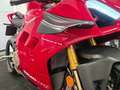 Ducati Panigale R V4 R Rouge - thumbnail 31