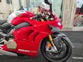 Ducati Panigale R V4 R Rouge - thumbnail 4