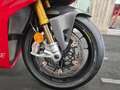 Ducati Panigale R V4 R Rood - thumbnail 21