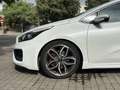 Kia Ceed / cee'd Pro_Cee´d 1.6 T-GDI GT 204 Blanco - thumbnail 10