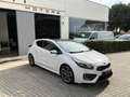 Kia Ceed / cee'd Pro_Cee´d 1.6 T-GDI GT 204 Blanco - thumbnail 3