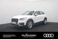 Audi Q2 1.6 TDI . LED Navi ACC Blanco - thumbnail 1